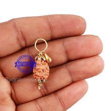 Load image into Gallery viewer, 2 Mukhi Indonesian Rudraksha with Lucky Charm Gada Pendant
