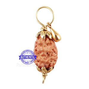 2 Mukhi Indonesian Rudraksha with Lucky Charm Gada Pendant
