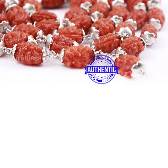 Smooth 2 Mukhi Rudraksha Mala (Pure Silver) - 3