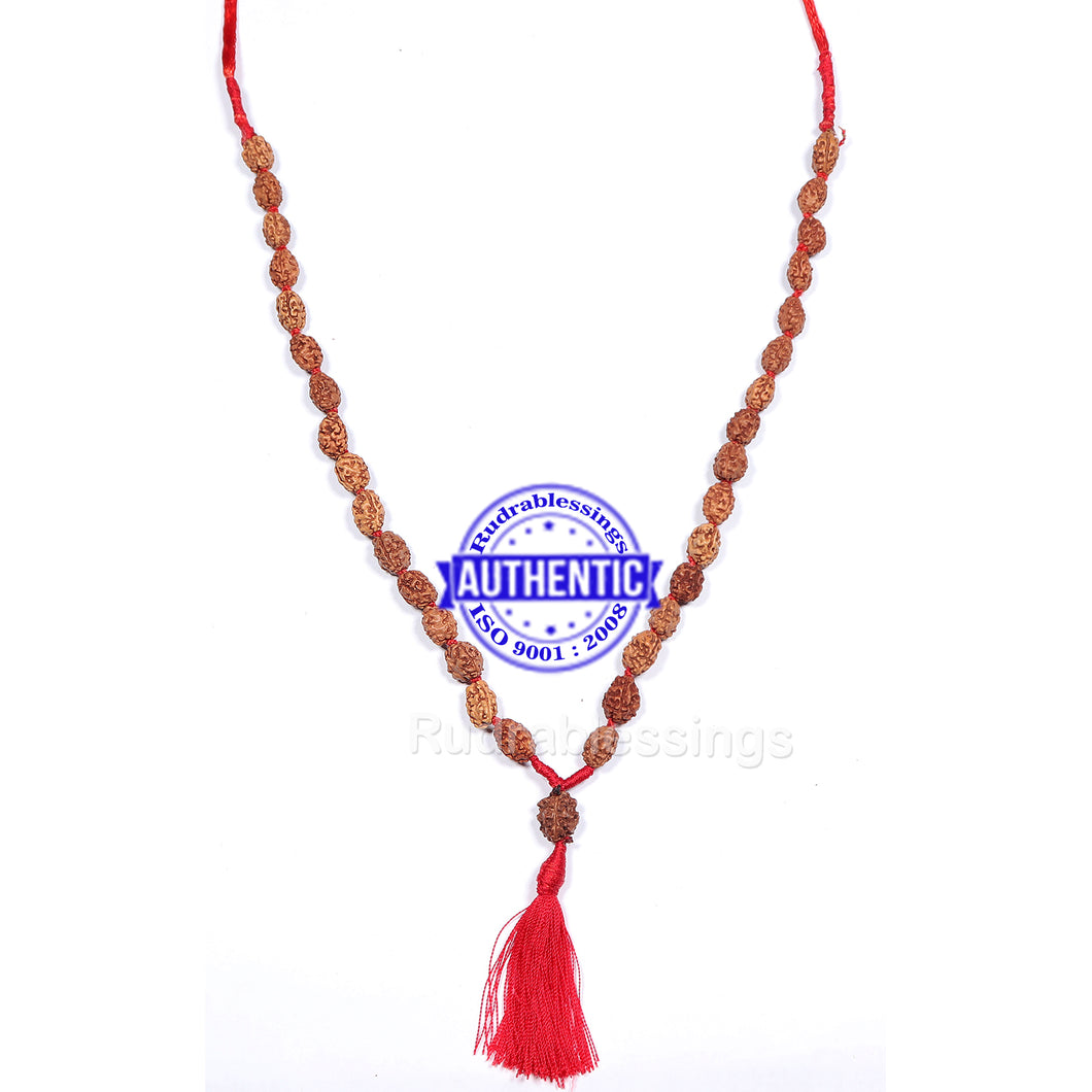 3 Mukhi Agni Rudraksha Mala - 2 (54+1)