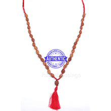Load image into Gallery viewer, Smooth 2 Mukhi Rudraksha Mala - 9 (26+1)

