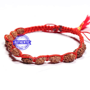 Smooth 2 Mukhi Rudraksha Wrist Band - (12 beads)
