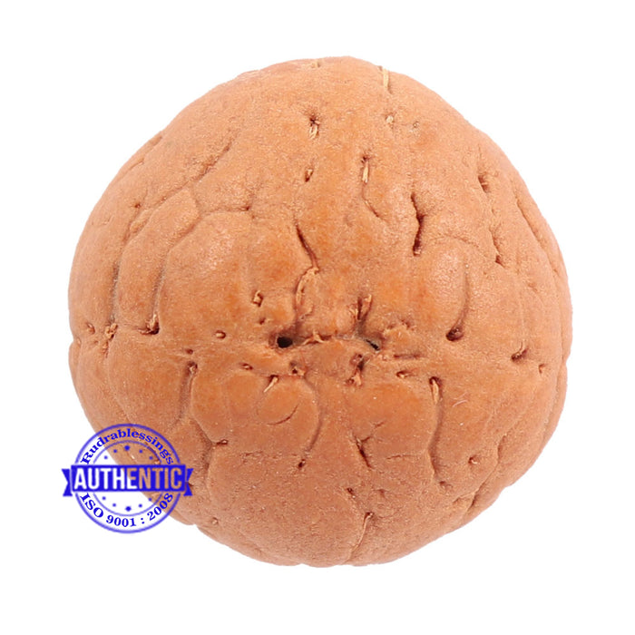 2 Line Buddha Chitta - Bead No. 2