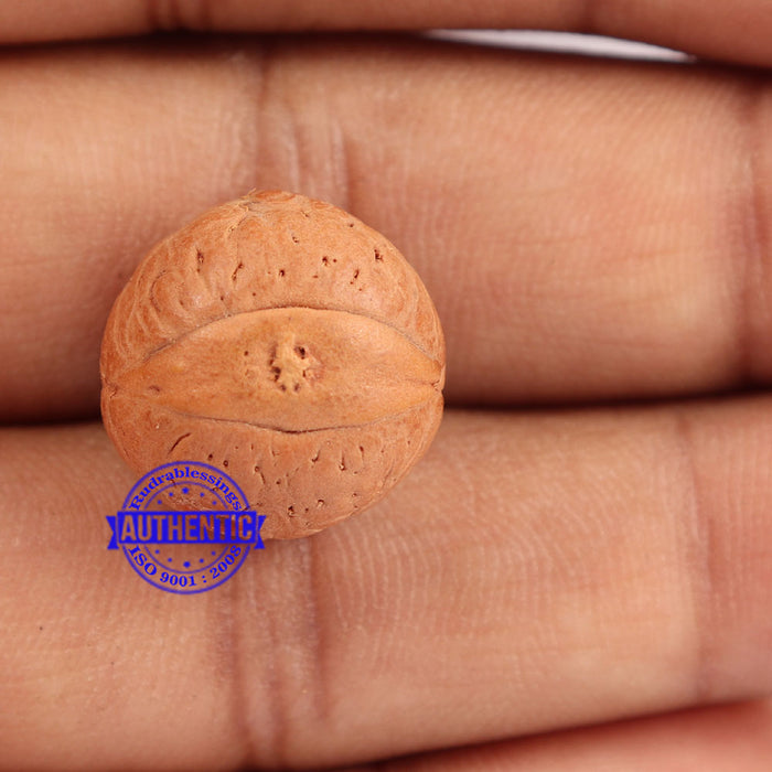 2 Line Buddha Chitta - Bead No. 2