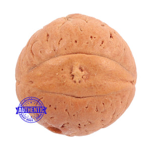 2 Line Buddha Chitta - Bead No. 2