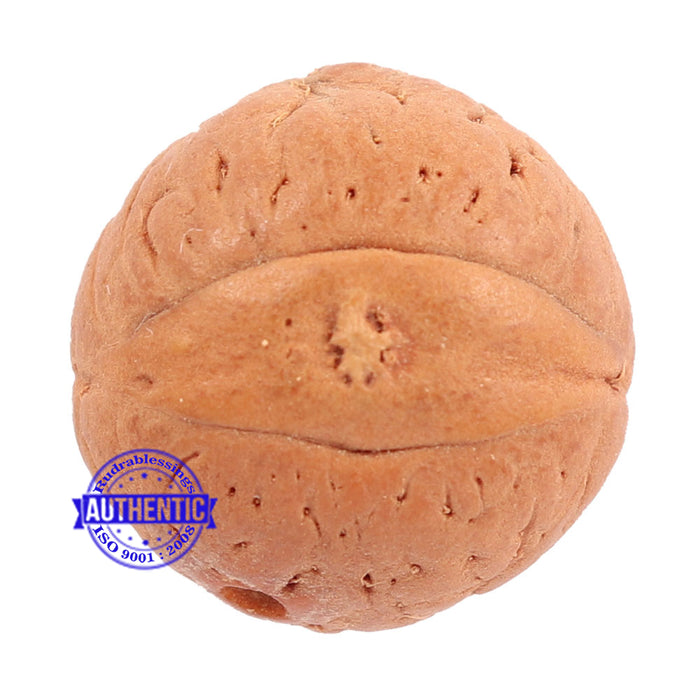 2 Line Buddha Chitta - Bead No. 2