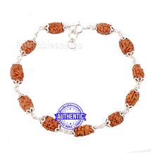 Load image into Gallery viewer, Smooth 2 Mukhi Rudraksha Bracelet (Pure silver)
