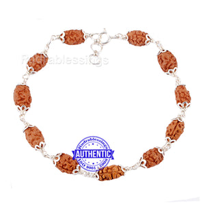 Smooth 2 Mukhi Rudraksha Bracelet (Pure silver)