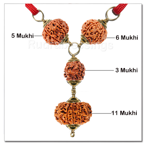 Rudraksha Fitness Pendant From Nepal
