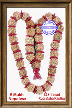 Load image into Gallery viewer, 5 Mukhi Rudraksha Kantha - (32 + 1 beads - Nepalese)
