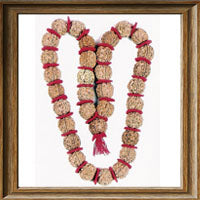 Load image into Gallery viewer, 5 Mukhi Rudraksha Kantha - (32 + 1 beads - Nepalese)

