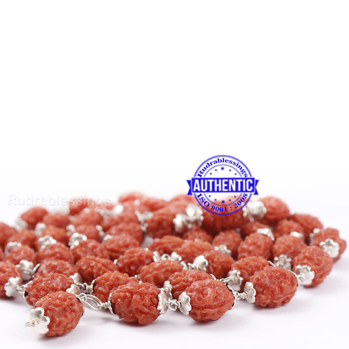 3 Mukhi Agni Rudraksha Mala - 1 (54+1) (Pure Silver)