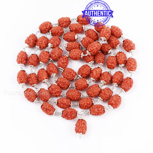 3 Mukhi Agni Rudraksha Mala - 1 (54+1) (Pure Silver)
