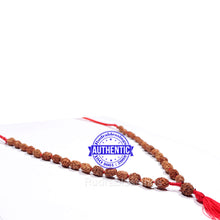 Load image into Gallery viewer, 3 Mukhi Agni Rudraksha Mala - 2 (54+1)
