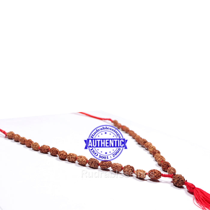 3 Mukhi Agni Rudraksha Mala - 2 (54+1)
