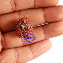 Load image into Gallery viewer, 3 Mukhi Rudraksha with Om Marking - Bead 2
