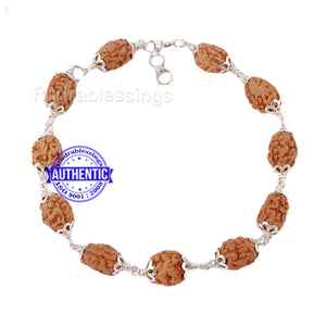 3 Mukhi Rudraksha Bracelet (Pure silver)