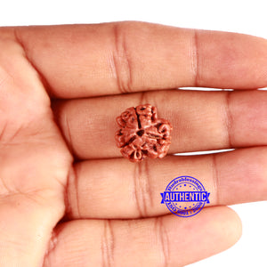 3 Mukhi Rudraksha from Nepal - Bead No. 326