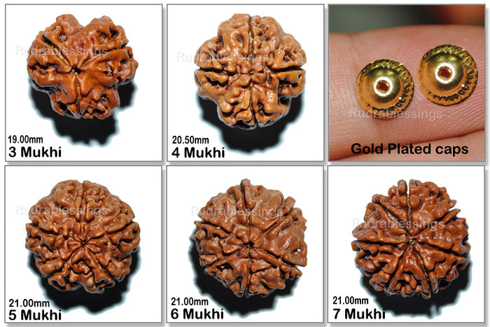 Rudraksha Set - (3 to 7 Mukhi)