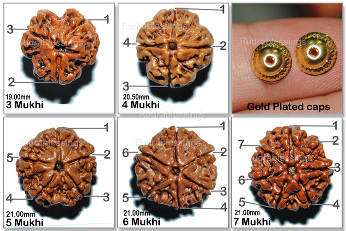 Rudraksha Set - (3 to 7 Mukhi)