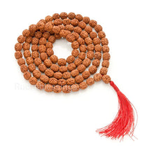 Load image into Gallery viewer, 4 Mukhi Rudraksha Mala - (108+1 beads - Indonesian)
