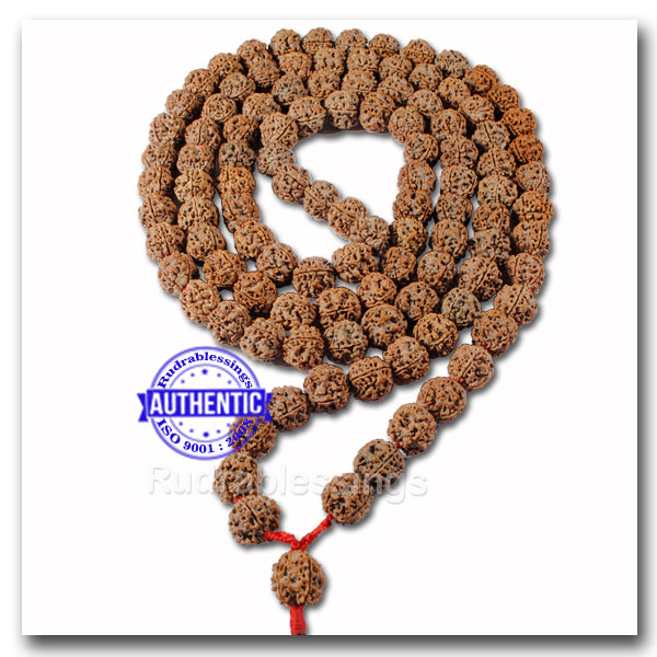 4 Mukhi Rudraksha Kantha - (108+1 beads - Nepalese) - 2