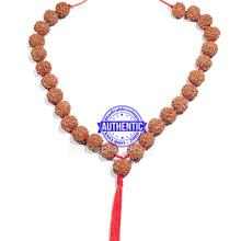 Load image into Gallery viewer, 5 Mukhi Rudraksha Mala - (26+1 beads - Nepalese)
