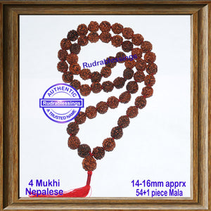 4 Mukhi Rudraksha Kantha - (54+1 beads - Nepalese)