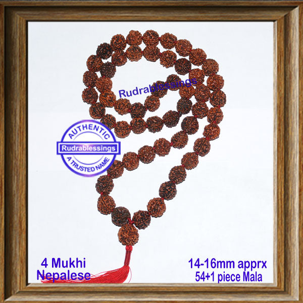 4 Mukhi Rudraksha Kantha - (54+1 beads - Nepalese)