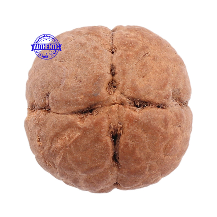 4 Line Buddha Chitta - Bead No. 5