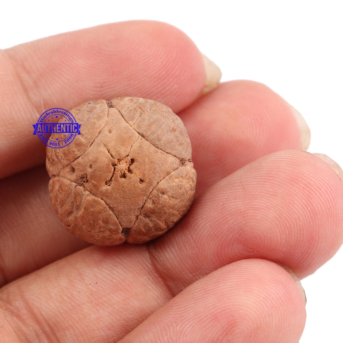 4 Line Buddha Chitta - Bead No. 5