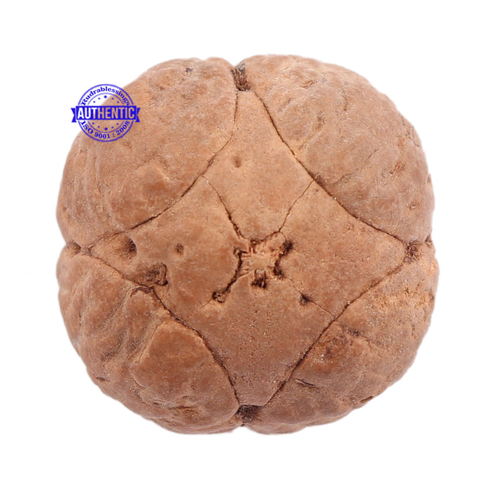 4 Line Buddha Chitta - Bead No. 5