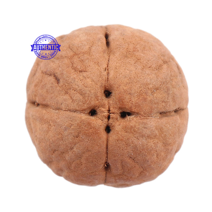 4 Line Buddha Chitta - Bead No. 1