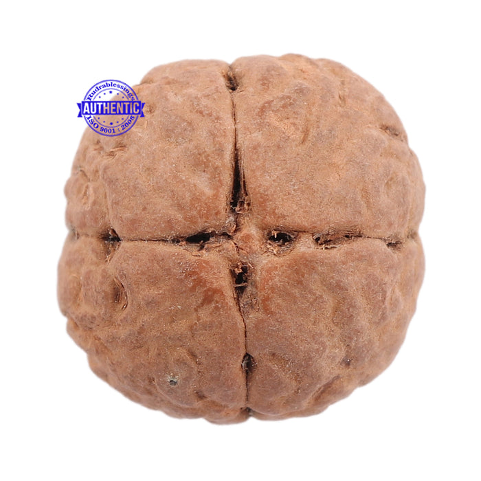 4 Line Buddha Chitta - Bead No. 2