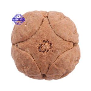 4 Line Buddha Chitta - Bead No. 2