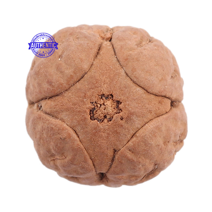 4 Line Buddha Chitta - Bead No. 2