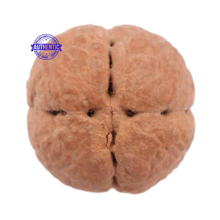 4 Line Buddha Chitta - Bead No. 3