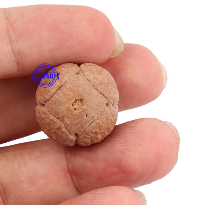 4 Line Buddha Chitta - Bead No. 3