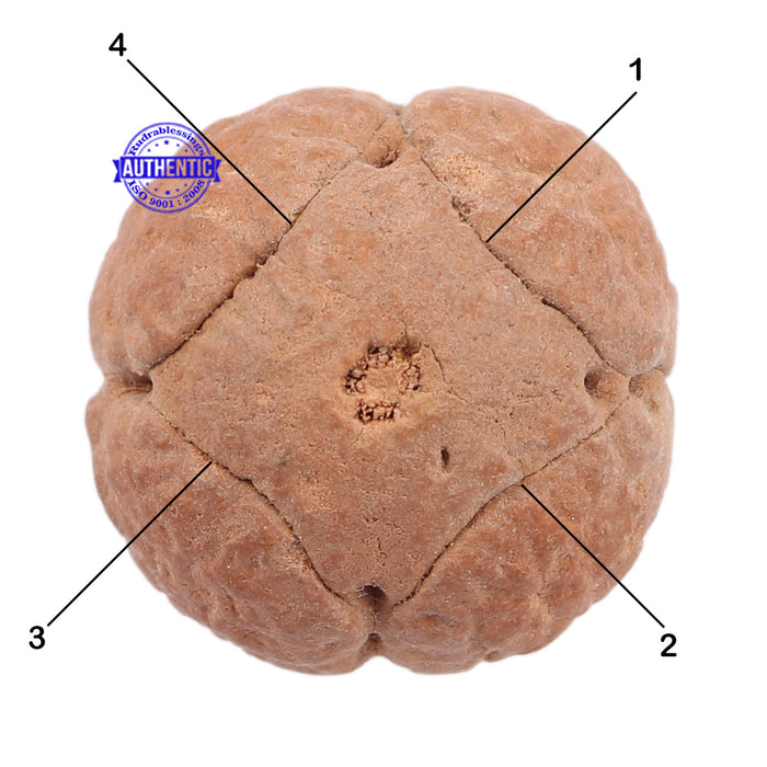 4 Line Buddha Chitta - Bead No. 3