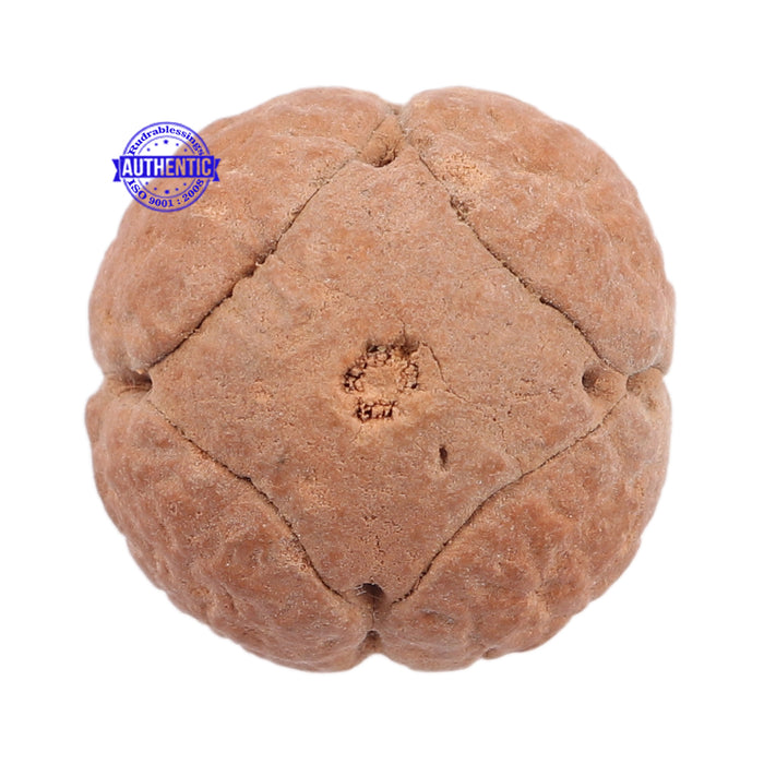 4 Line Buddha Chitta - Bead No. 3