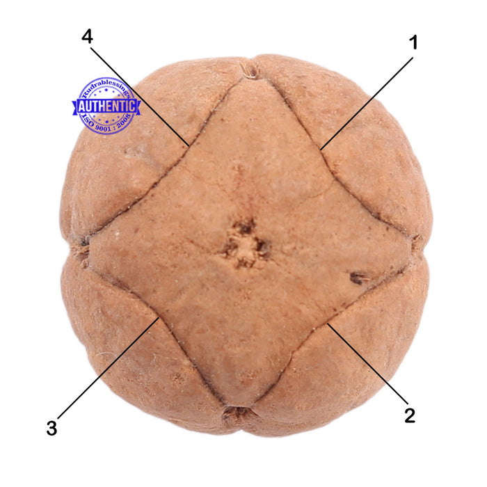 4 Line Buddha Chitta - Bead No. 4