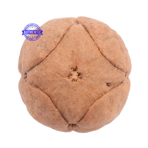 4 Line Buddha Chitta - Bead No. 4