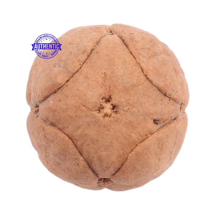 4 Line Buddha Chitta - Bead No. 4