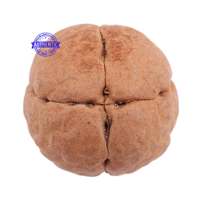 4 Line Buddha Chitta - Bead No. 6