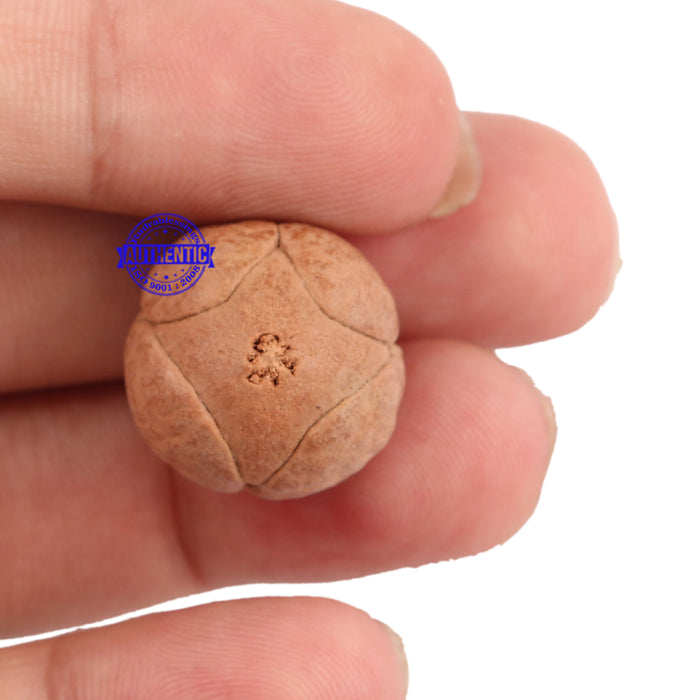 4 Line Buddha Chitta - Bead No. 6