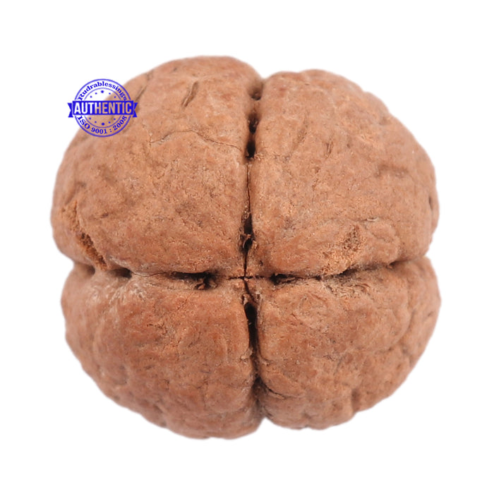 4 Line Buddha Chitta - Bead No. 7