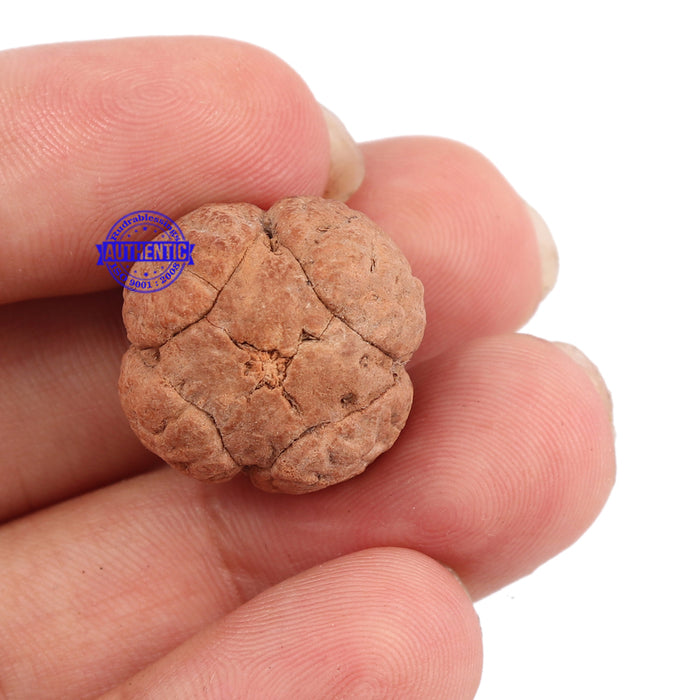 4 Line Buddha Chitta - Bead No. 7