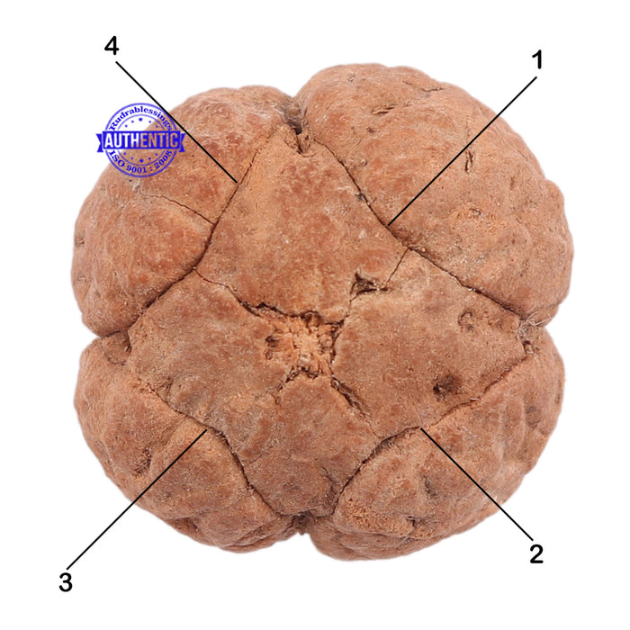 4 Line Buddha Chitta - Bead No. 7