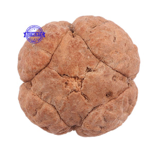 4 Line Buddha Chitta - Bead No. 7