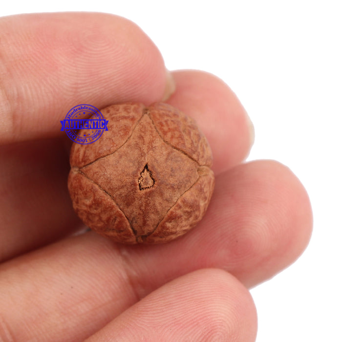 4 Line Buddha Chitta - Bead No. 8